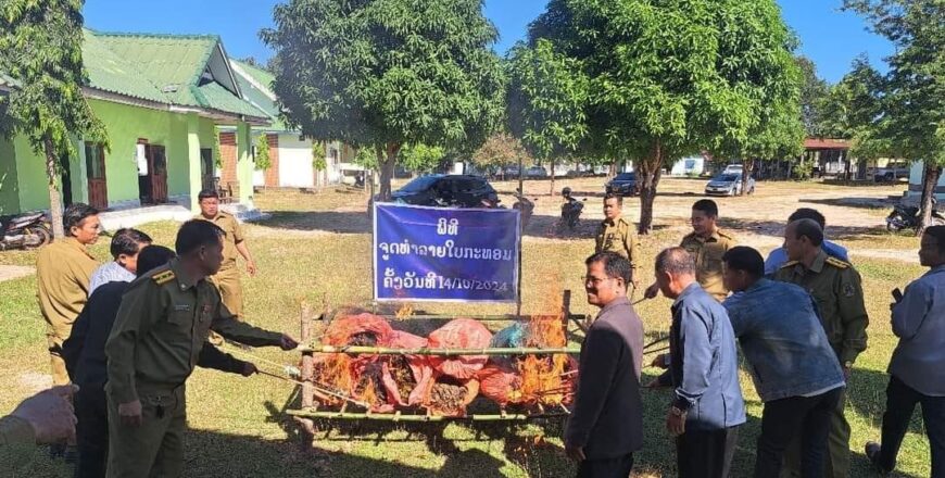 ປກສ ເມືອງອາດສະພອນ ຈູດທຳລາຍໃບກະທ່ອມທີ່ຢຶດມາໄດ້ 125 ກິໂລກຣາມ