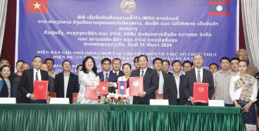 ລາວ-ຫວຽດນາມ ຮ່ວມມືລົງນາມໂຄງການປູກດອກໄມ້ເມືອງໜາວ, ພືດຜັກ ແລະ ໄມ້ໃຫ້ໝາກ ເປັນສິນຄ້າ ຢູ່ແຂວງໄຊສົມບູນ ລາວ-ຫວຽດນາມ ຮ່ວມມືລົງນາມໂຄງການປູກດອກໄມ້ເມືອງໜາວ, ພືດຜັກ ແລະ ໄມ້ໃຫ້ໝາກ ເປັນສິນຄ້າ ຢູ່ແຂວງໄຊສົມບູນ