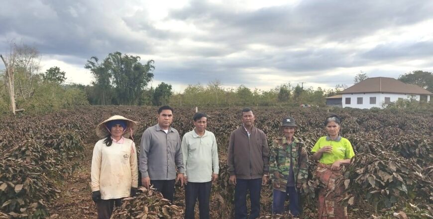 ນໍ້າໝອກກ້າມ ສ້າງຄວາມເສຍຫາຍຕໍ່ຕົ້ນກາເຟ ຢູ່ເມືອງປາກຊ່ອງ ແຂວງຈໍາປາສັກ ຫຼາຍກວ່າ 70 ເຮັກຕາ ນໍ້າໝອກກ້າມ ສ້າງຄວາມເສຍຫາຍຕໍ່ຕົ້ນກາເຟ ຢູ່ເມືອງປາກຊ່ອງ ແຂວງຈໍາປາສັກ ຫຼາຍກວ່າ 70 ເຮັກຕາ