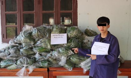 ຈັບຕົວຜູ້ຄ້າ-ຂາຍ ໃບກະທ໋ອມ ລາຍໃຫຍ່ ໂພສຂາຍຜ່ານຊ່ອງທາງຕິກຕັອກ ພ້ອມພວກກຸ່ມມົ້ວສຸມດື່ມນໍ້າກະທ່ອມ 5 ຄົນ