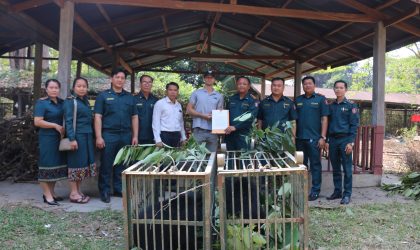 ກອງກວດປ່າໄມ້ ພະແນກກະສິກໍາ ແລະ ປ່າໄມ້ ແຂວງບໍລິຄໍາໄຊ ມອບໂຕໝີ 2 ໂຕ ທີ່ຍືດໄດ້ ໃຫ້ໂຄງການອະນຸລັກໝີລາວ