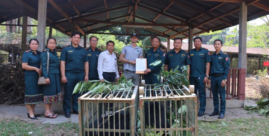 ກອງກວດປ່າໄມ້ ພະແນກກະສິກໍາ ແລະ ປ່າໄມ້ ແຂວງບໍລິຄໍາໄຊ ມອບໂຕໝີ 2 ໂຕ ທີ່ຍືດໄດ້ ໃຫ້ໂຄງການອະນຸລັກໝີລາວ ກອງກວດປ່າໄມ້ ພະແນກກະສິກໍາ ແລະ ປ່າໄມ້ ແຂວງບໍລິຄໍາໄຊ ມອບໂຕໝີ 2 ໂຕ ທີ່ຍືດໄດ້ ໃຫ້ໂຄງການອະນຸລັກໝີລາວ