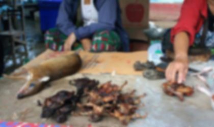 ເຖິງເວລາຢຸດແລ້ວຫລືບໍ່ ຄ່ານິຍົມເອົາສັດປ່າເປັນຂອງຕ້ອນແຂກ