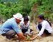 ປູກໄມ້ ໃຫ້ມີປະສິດທິພາບ ແລະ ປະສິດທິຜົນ ບໍ່ແມ່ນອ້າງຈຳນວນຕົ້ນ ແລະ ເນື້ອທີ່ ປູກໄມ້ ໃຫ້ມີປະສິດທິພາບ ແລະ ປະສິດທິຜົນ ບໍ່ແມ່ນອ້າງຈຳນວນຕົ້ນ ແລະ ເນື້ອທີ່