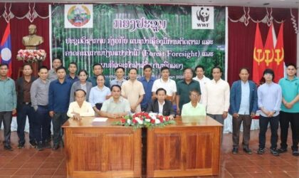 ຈຳປາສັກ ແລະ ອັດຕະປື ຫາລືແຜນກິດຈະກໍາ ຄຸ້ມຄອງ ແລະ ຟື້ນຟູປ່າໄມ້ແບບຍືນຍົງ