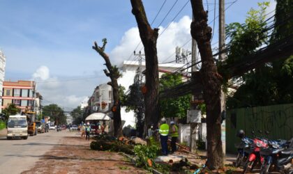ຊີ້ແຈງຂໍ້ຂ້ອງໃຈຂອງສັງຄົມຕໍ່ການຕັດຕົ້ນໄມ້ຢູ່ຖະໜົນເສດຖາທິຣາດ