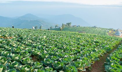 ບັນຫາເກົ່າ ເວົ້າຄືນໃໝ່ “ຫຼຸດຜ່ອນນຳເຂົ້າສິນຄ້າຜະລິດໄດ້ເອງ ເພື່ອສົ່ງເສີມພາຍໃນໃຫ້ເຂັ້ມແຂງ”