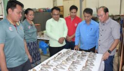 ພົບພະພຸດທະຮູບເກົ່າແກ່ 70 ອົງ ຢູ່ໄຫຝັງດິນ ໃນວັດເມືອງກາງ ເມືອງຈຳປາສັກ