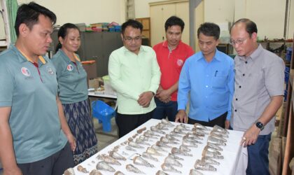 ພົບພະພຸດທະຮູບເກົ່າແກ່ 70 ອົງ ຢູ່ໄຫຝັງດິນ ໃນວັດເມືອງກາງ ເມືອງຈຳປາສັກ