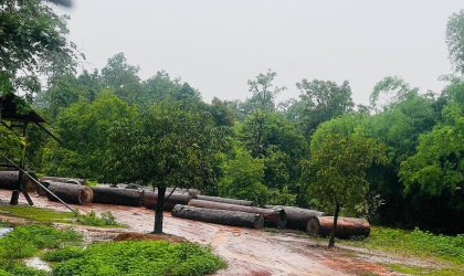 ເມືອງພີນ ແຂວງສະຫວັນນະເຂດ ຍັງພົບການລັກຕັດໄມ້ ແລະ ເດືອນມິຖຸນາຢຶດໄດ້ 700 ແມັດກ້ອນ