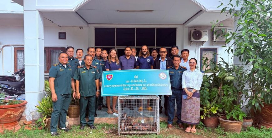 ເຈົ້າໜ້າທີ່ວາງແຜນລໍ້ຊື້ ສາມາດຢຶດລູກຂາແດງ 2 ໂຕ ແລະ ລູກໂຕໂຄ່ງ 1 ໂຕ ສ່ວນຜູ້ຂາຍຫລົບໜີໄປໄດ້