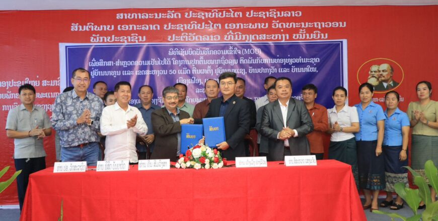 ອະນຸມັດເອກະຊົນ ສຶກສາສຳຫລວດ ປູກໝາກຖົ່ວລຽນ ຢູ່ເມືອງເຟືອງ ແຂວງວຽງຈັນ 100 ກວ່າເຮັກຕາ