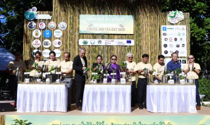 ກາເຟ ແລະ ຊາ ຄືໝາກຜົນທາງດ້ານກະສິກຳ ທີ່ເປັນຂີດໝາຍການພັດທະນາລາຍໄດ້ແບບຍືນຍົງ