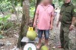 ຫວຽດນາມດຳເນີນຄະດີ ຊາຍໜຸ່ມລັກໝາກມີ້ 2 ໜ່ວຍ ມູນຄ່າ 387.000 ດົງ