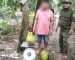 ຫວຽດນາມດຳເນີນຄະດີ ຊາຍໜຸ່ມລັກໝາກມີ້ 2 ໜ່ວຍ ມູນຄ່າ 387.000 ດົງ